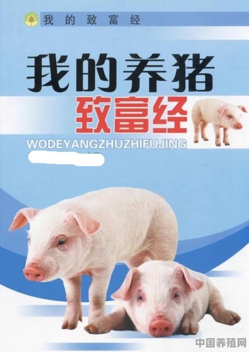 养殖20头猪成本多少钱 - 中国养殖网