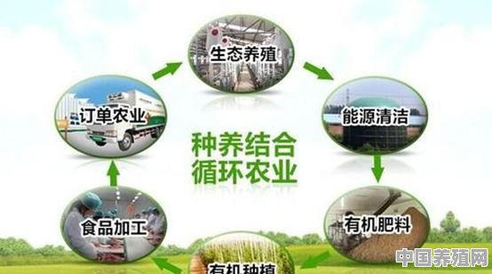 种植，养殖，致富的路在何方 - 中国养殖网