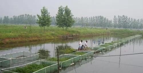 水产养殖怎么防洪的 - 中国养殖网