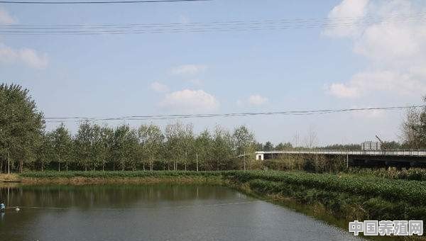 小塘口的养殖方法 - 中国养殖网