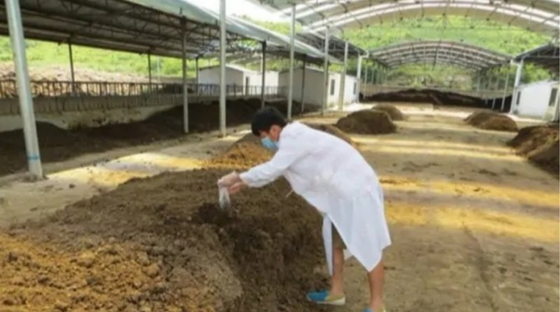 将鸡、鸭粪发酵成有机肥的操作步骤 - 中国养殖网