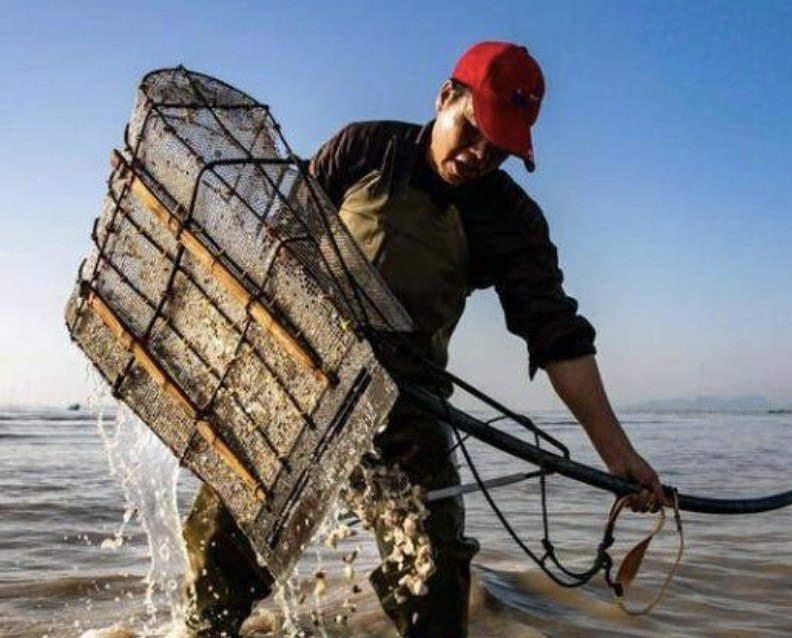 花蛤养殖配备 - 中国养殖网
