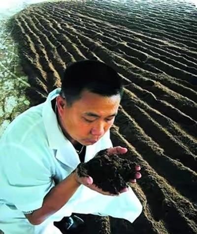 猪粪怎么育虫喂鸡 - 中国养殖网