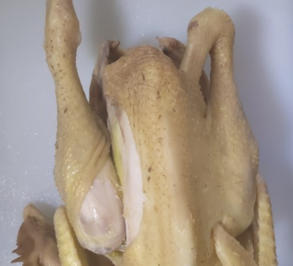 清远鸡跟文昌鸡哪种贵 - 中国养殖网