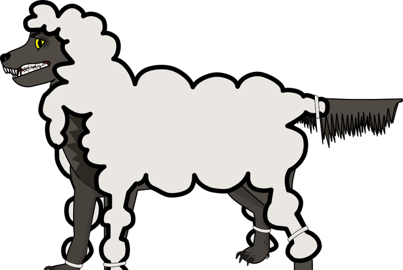 背头羊的故事是什么 - 中国养殖网