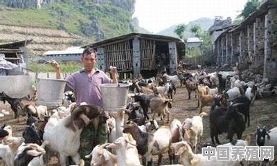 一两千块钱预算在农村老家养殖怎么最赚钱 - 中国养殖网