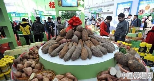 广西有什么特色农副产品 - 中国养殖网