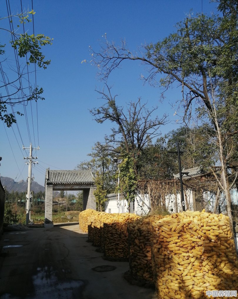 在不破坏原生态的情况下，怎样把农村的美景推广出去 - 中国养殖网
