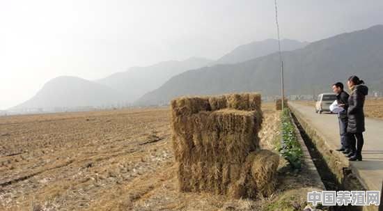 秸秆利用给农民就业带来多大的作用 - 中国养殖网