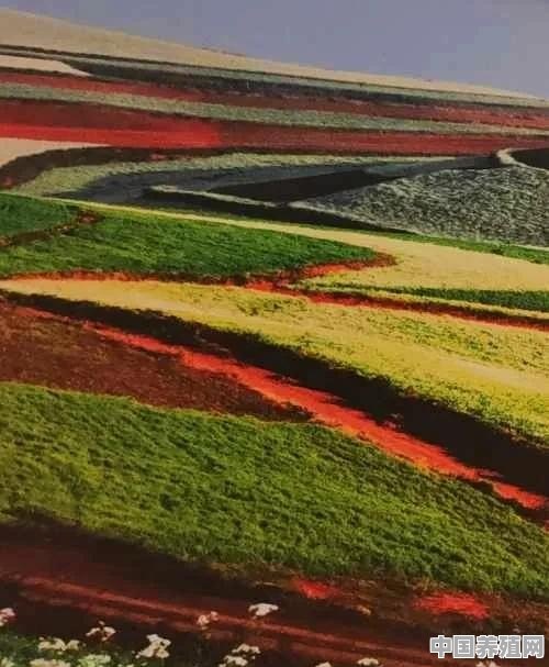 旅游途中，你遇见过哪些"如诗如画”的美景 - 中国养殖网