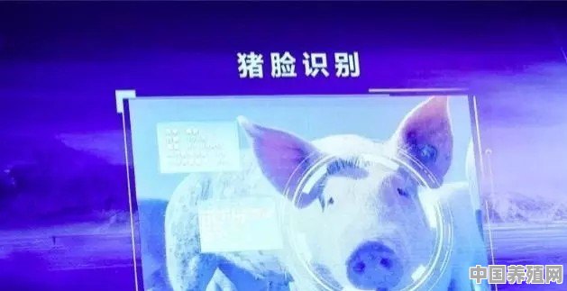 京东宣布进军养猪业，推出猪脸识别能评测猪是否有病、吃了多少料 - 中国养殖网