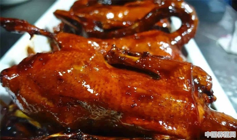 为什么在厦门的人喜欢吃鸭不吃鸡呢 - 中国养殖网