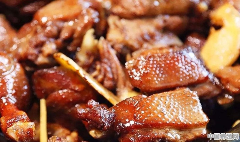 为什么在厦门的人喜欢吃鸭不吃鸡呢 - 中国养殖网