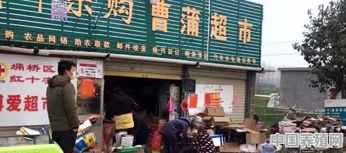 我在农村老家有一个小商店，怎么样才能做得大些呢 - 中国养殖网