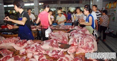 多地猪价连续上涨，已经突破18元，后市价格会是如何 - 中国养殖网