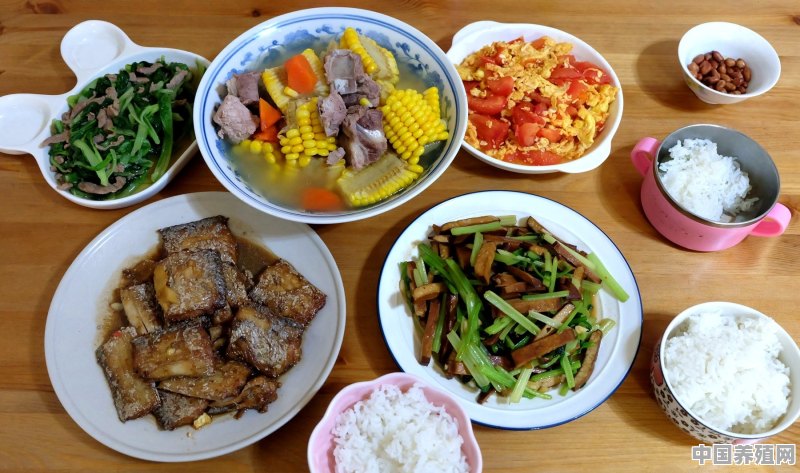 两个人在家做饭，100元能享受到多丰盛的一顿饭 - 中国养殖网