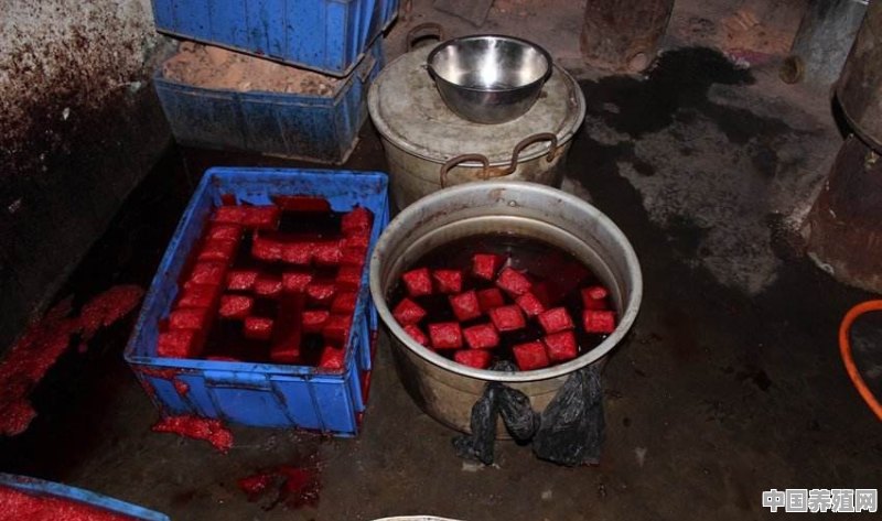 现在市面上卖的成盒的鸭血、猪血到底是什么成分？是真的吗 - 中国养殖网