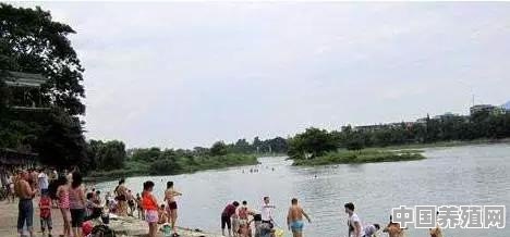 在桂林夏天想带孩子去游泳，有什么地方推荐 - 中国养殖网