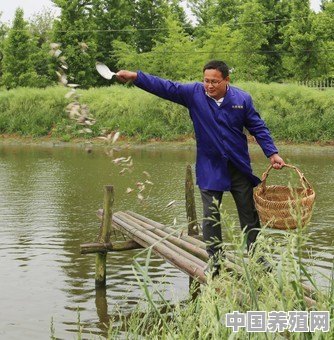 想在农村养鱼，养殖哪种鱼比较好 - 中国养殖网