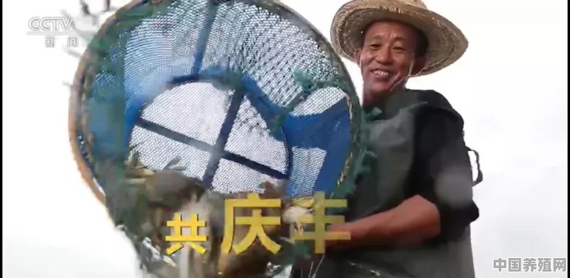 大闸蟹怎么养好 - 中国养殖网