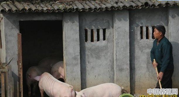 我国哪些地区适合养猪 - 中国养殖网