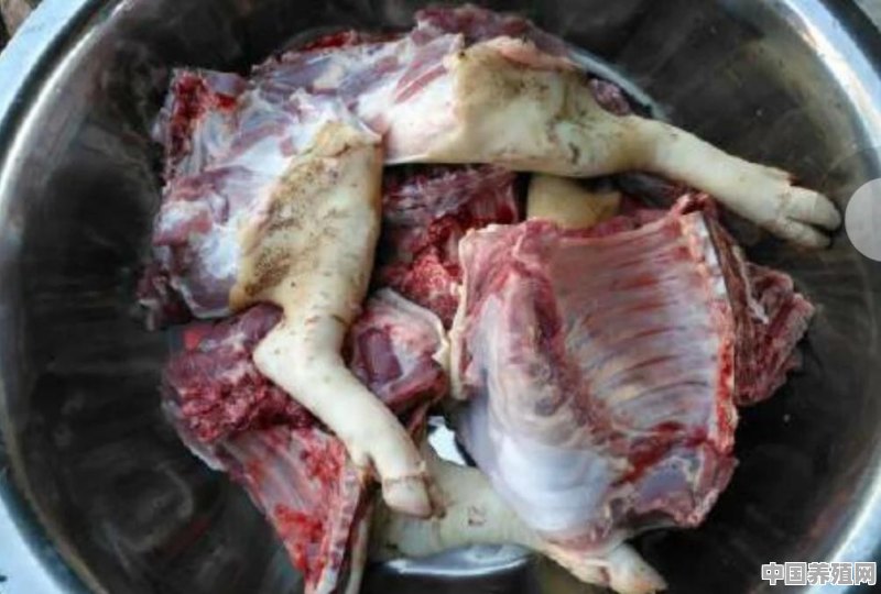海南省五指山市的五脚猪猪肉好吃吗 - 中国养殖网