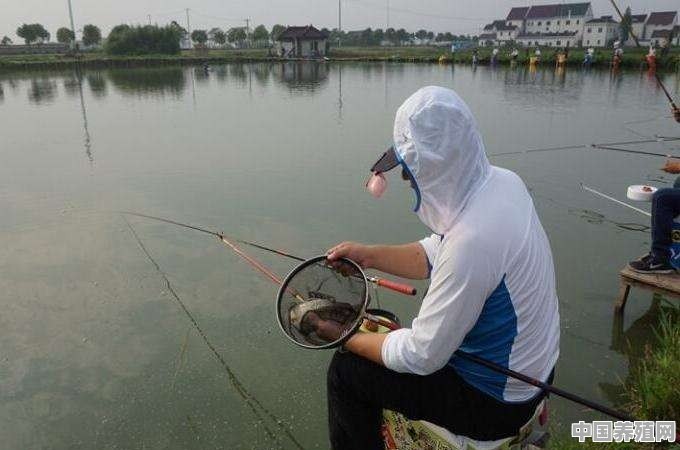 钓鱼人，野钓和传统钓是一个意思吗 - 中国养殖网