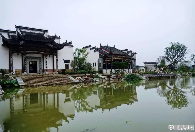 南京溧水区有哪些好玩的地方 - 中国养殖网