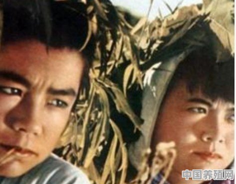 有哪些电影最能勾起你童年的回忆 - 中国养殖网