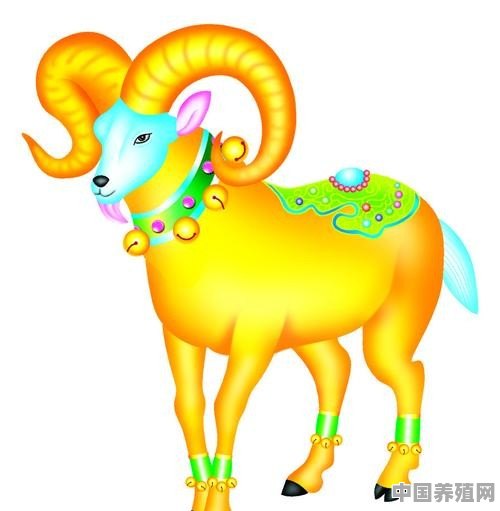 生肖羊为什么一鸣惊人，事业一飞冲天 - 中国养殖网