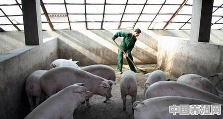 在农村的田地里搞个现代化的养猪场可以吗 - 中国养殖网