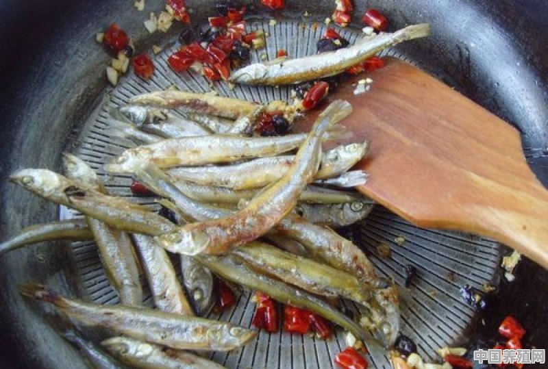 火焙鱼制作方法与详细步骤 - 中国养殖网
