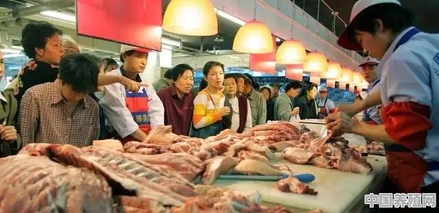 立秋快到了，广东的猪价是不是这两天就要达到26元/公斤了 - 中国养殖网