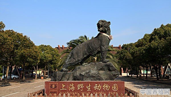 上海的动物园都在哪，有哪些值得一看的，有没有大熊猫 - 中国养殖网