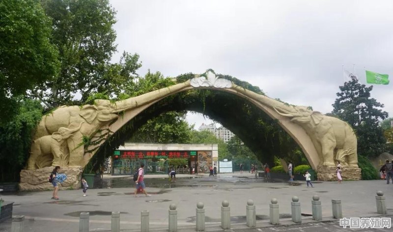 上海的动物园都在哪，有哪些值得一看的，有没有大熊猫 - 中国养殖网