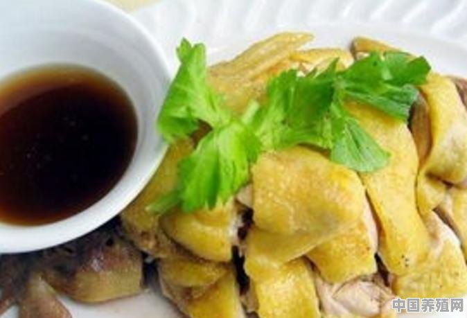 广东梅州人爱吃的鸭子是怎么做的 - 中国养殖网