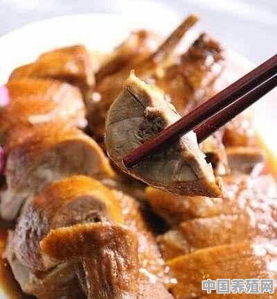 广东梅州人爱吃的鸭子是怎么做的 - 中国养殖网