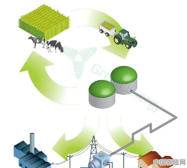 什么是循环种养模式？在养牛时，如何实现循环种养 - 中国养殖网