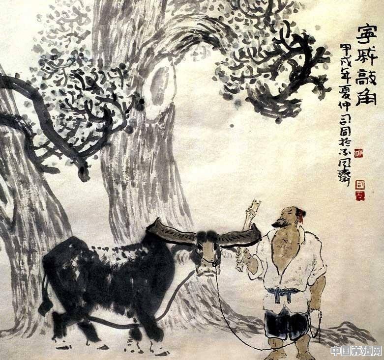 中国历史上牛耕是何时普及的 - 中国养殖网