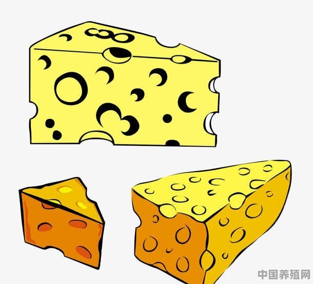 酒酿为什么能做奶酪 - 中国养殖网