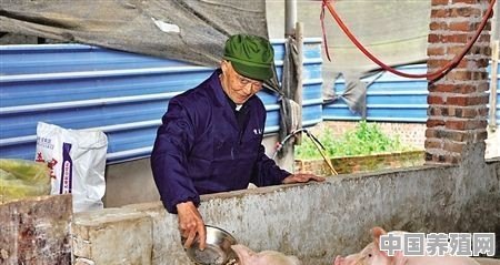 养殖场怎么用猪粪、鸡粪、牛粪来加工有机肥 - 中国养殖网