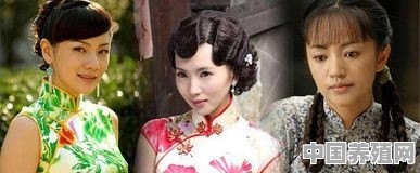 哪些女明星穿上旗袍会让你感觉很惊艳 - 中国养殖网