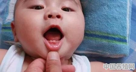 宝宝出牙的征兆、时间、顺序是怎样的？如何护理 - 中国养殖网