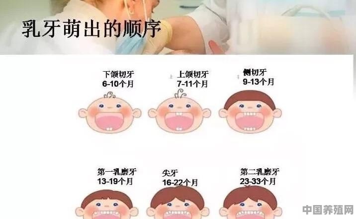 宝宝出牙的征兆、时间、顺序是怎样的？如何护理 - 中国养殖网